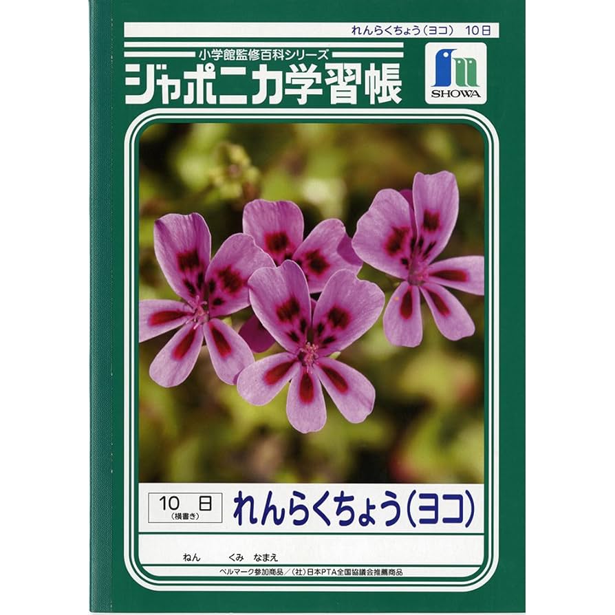 弱点・予習・要点  ノート 書き込み（有） 弱点・予習・要点 ノート 書き込み（有） Amazon.co.jp: 研恒社